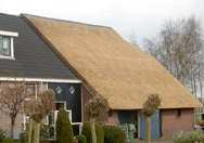 Woonboerderij met half rieten dak